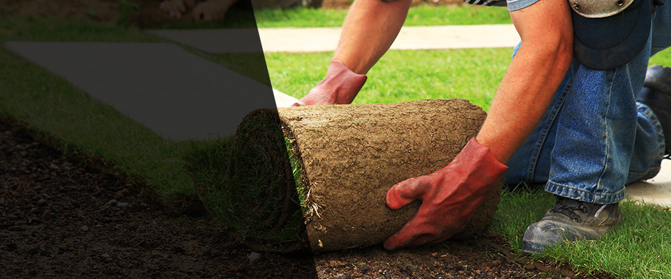 Mount Horeb Landscapers